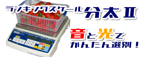 分太Ⅱ