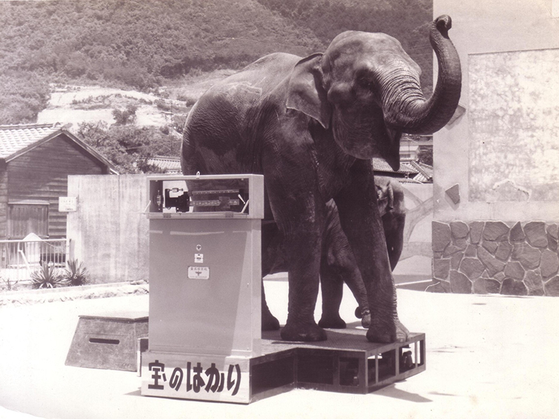 徳山動物園様 像の体重計寄贈