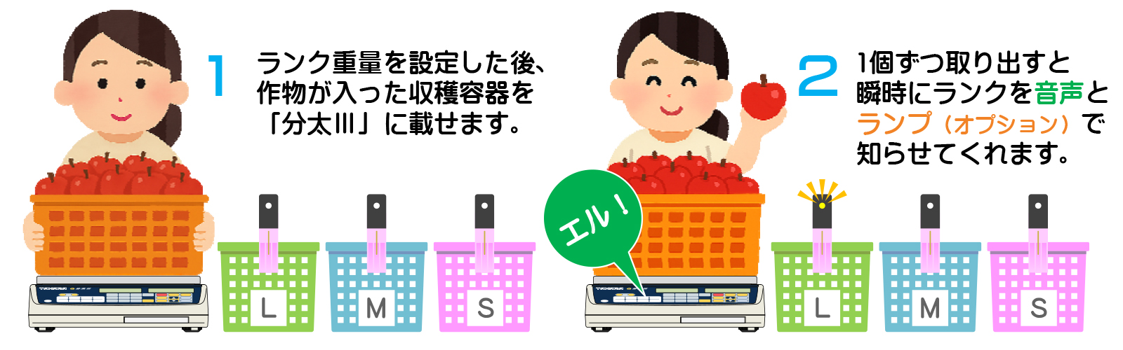 音声式重量選別機　分太Ⅲ　TB-6/15/30Ⅲ