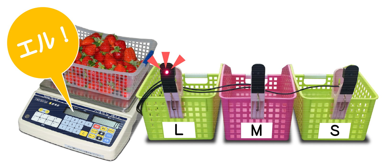 分太Ⅲ　表示ランプ使用例